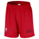 Nike Ανδρικό σορτς Chicago Bulls NBA Mesh Shorts